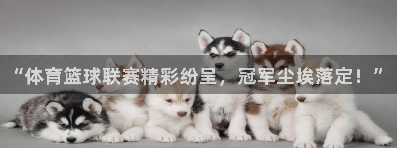 “体育篮球联赛精彩纷呈，冠军尘埃落定！”