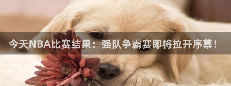今天NBA比赛结果：强队争霸赛即将拉开序幕！