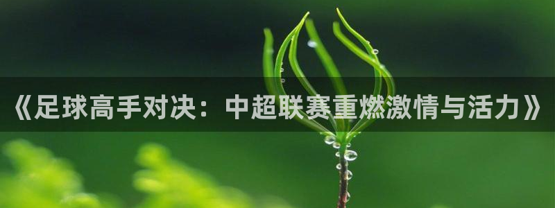 《足球高手对决：中超联赛重燃激情与活力》