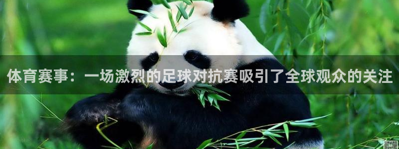 体育赛事：一场激烈的足球对抗赛吸引了全球观众的关注