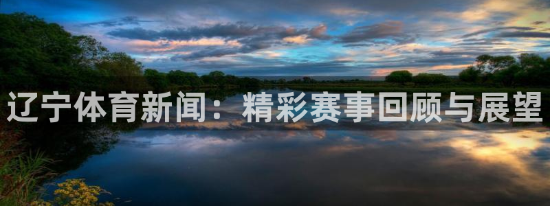 辽宁体育新闻：精彩赛事回顾与展望