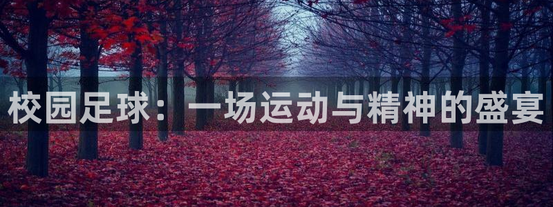 校园足球：一场运动与精神的盛宴
