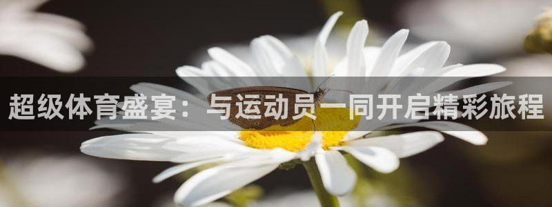 超级体育盛宴：与运动员一同开启精彩旅程