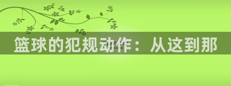 篮球的犯规动作：从这到那