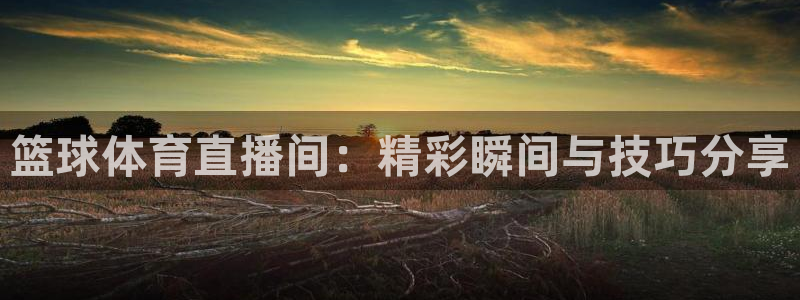 篮球体育直播间：精彩瞬间与技巧分享