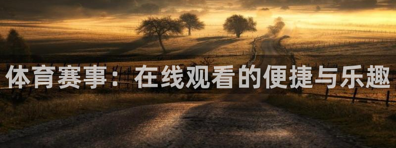 体育赛事：在线观看的便捷与乐趣