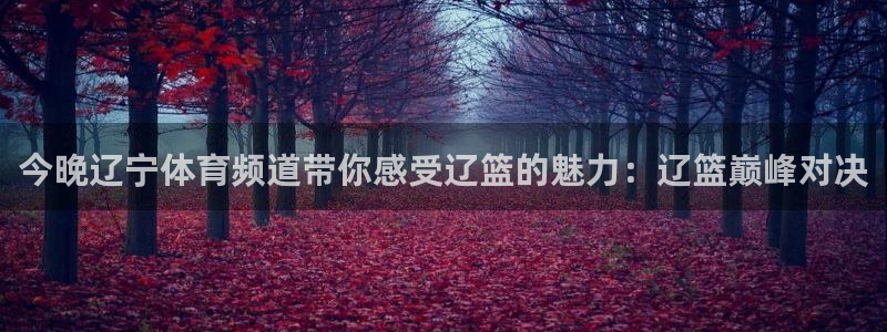 今晚辽宁体育频道带你感受辽篮的魅力：辽篮巅峰对决