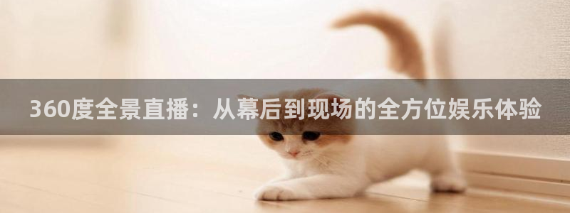 360度全景直播：从幕后到现场的全方位娱乐体验