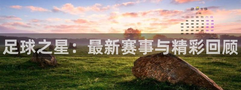 足球之星：最新赛事与精彩回顾