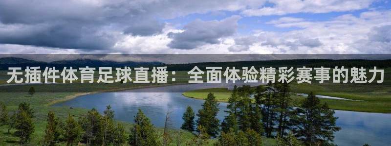 无插件体育足球直播：全面体验精彩赛事的魅力