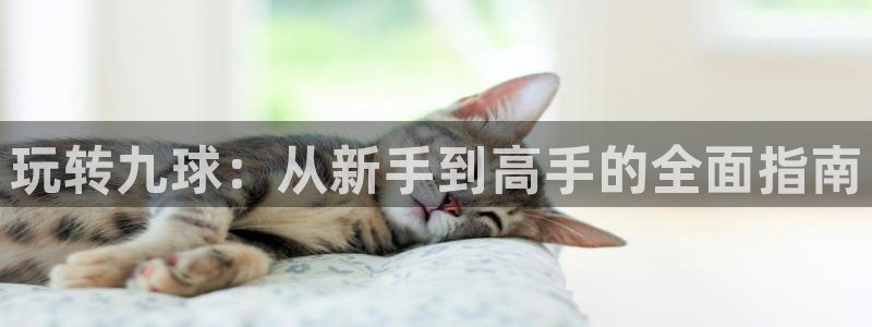 玩转九球：从新手到高手的全面指南