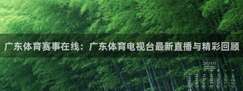 广东体育赛事在线：广东体育电视台最新直播与精彩回顾