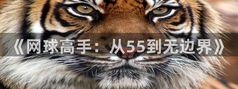 《网球高手：从55到无边界》