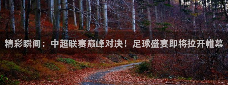 精彩瞬间：中超联赛巅峰对决！足球盛宴即将拉开帷幕