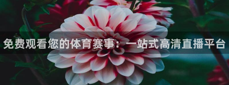免费观看您的体育赛事：一站式高清直播平台