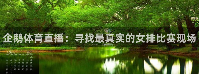 企鹅体育直播：寻找最真实的女排比赛现场