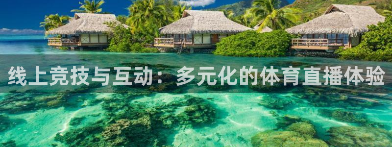 线上竞技与互动：多元化的体育直播体验