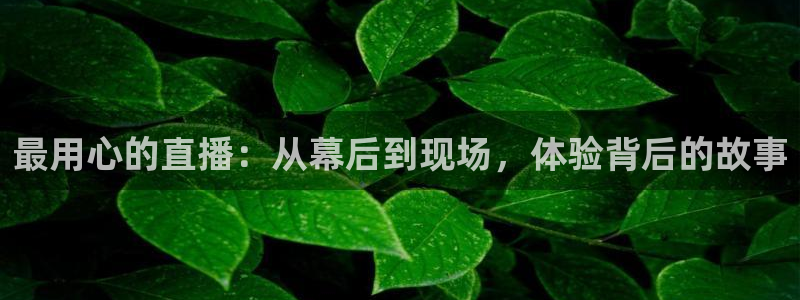 最用心的直播：从幕后到现场，体验背后的故事