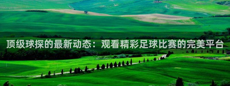 顶级球探的最新动态：观看精彩足球比赛的完美平台