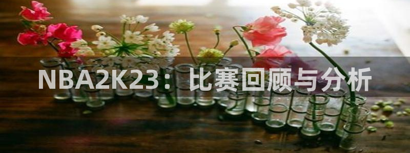 NBA2K23：比赛回顾与分析