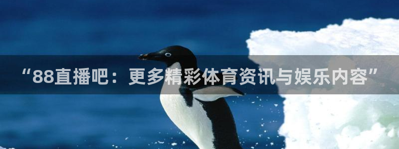 “88直播吧：更多精彩体育资讯与娱乐内容”