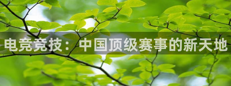 电竞竞技：中国顶级赛事的新天地
