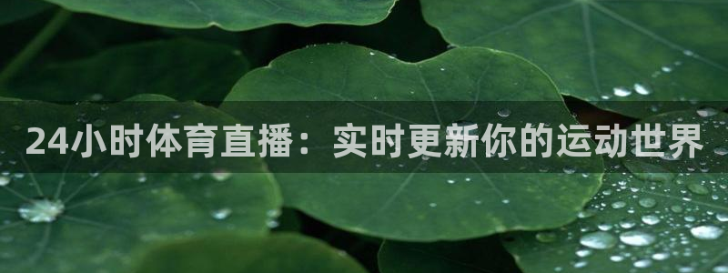 24小时体育直播：实时更新你的运动世界