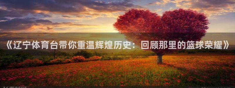 《辽宁体育台带你重温辉煌历史：回顾那里的篮球荣耀》