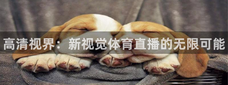 高清视界：新视觉体育直播的无限可能