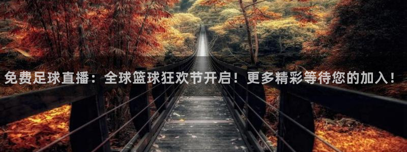 免费足球直播：全球篮球狂欢节开启！更多精彩等待您的加入！