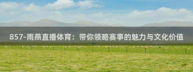 857-雨燕直播体育：带你领略赛事的魅力与文化价值