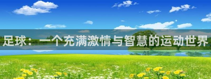 足球：一个充满激情与智慧的运动世界