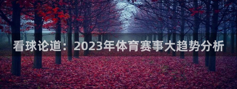看球论道：2023年体育赛事大趋势分析