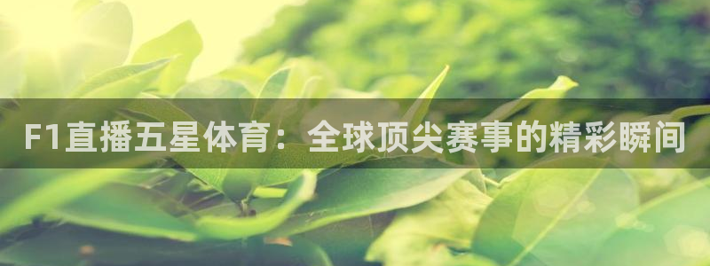 F1直播五星体育：全球顶尖赛事的精彩瞬间