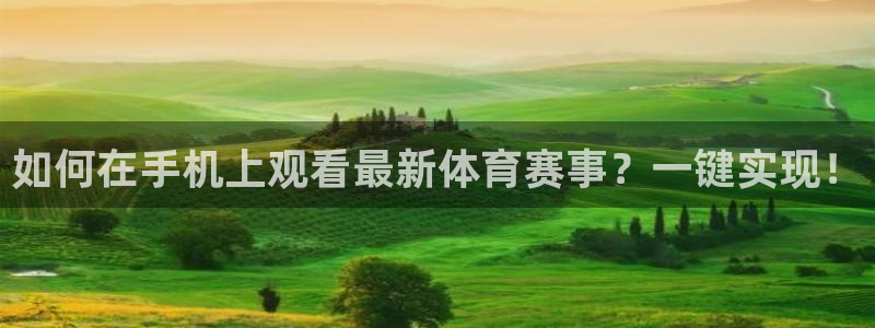 如何在手机上观看最新体育赛事？一键实现！