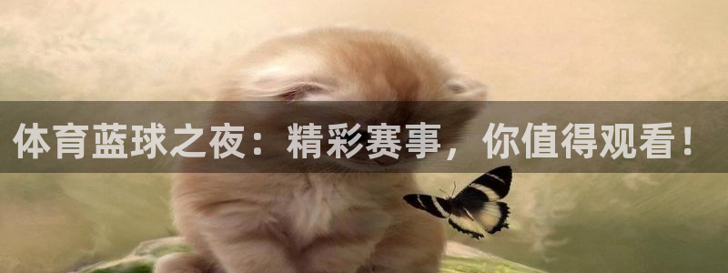 体育蓝球之夜：精彩赛事，你值得观看！