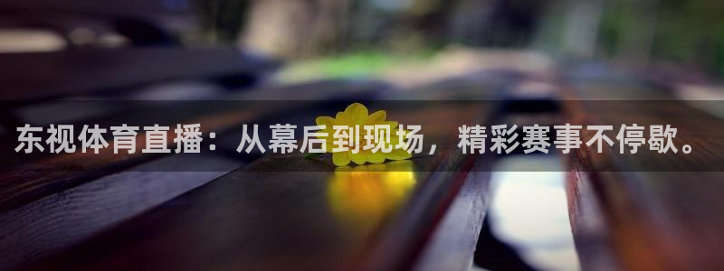 东视体育直播：从幕后到现场，精彩赛事不停歇。