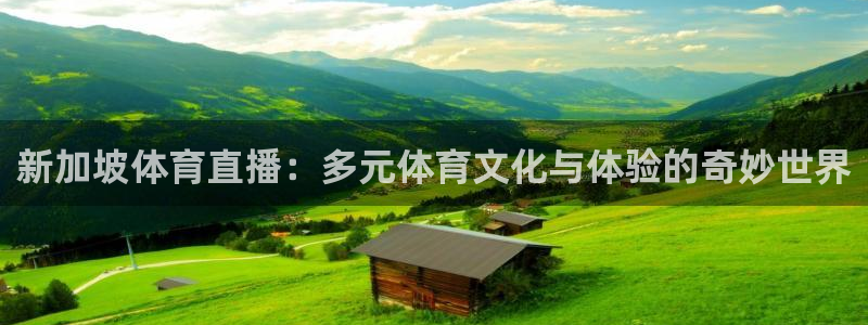 新加坡体育直播：多元体育文化与体验的奇妙世界