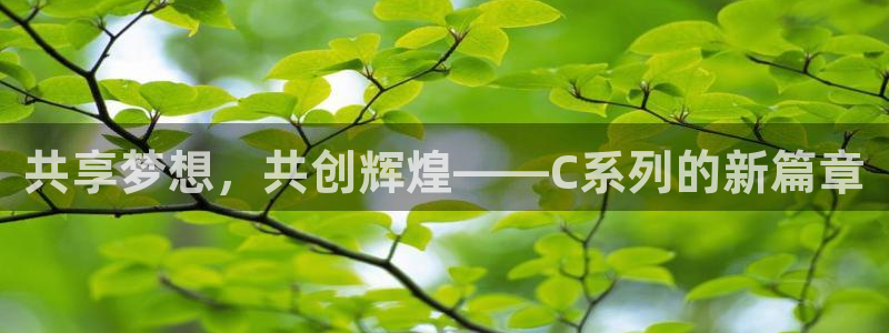 共享梦想，共创辉煌——C系列的新篇章