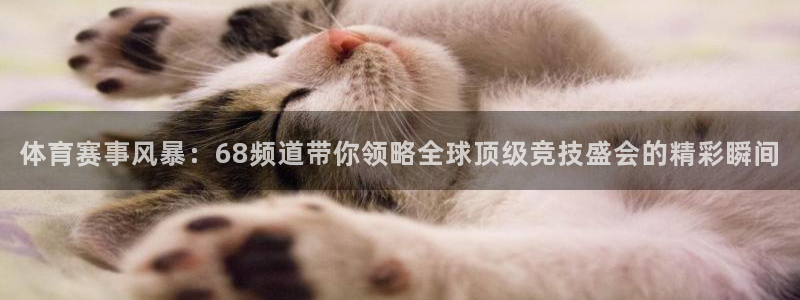 体育赛事风暴：68频道带你领略全球顶级竞技盛会的精彩瞬间