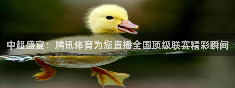 中超盛宴：腾讯体育为您直播全国顶级联赛精彩瞬间
