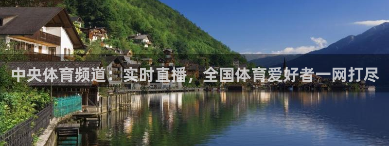 中央体育频道：实时直播，全国体育爱好者一网打尽
