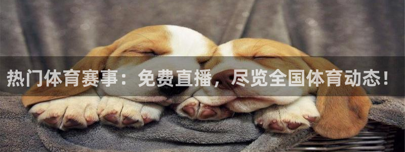 热门体育赛事：免费直播，尽览全国体育动态！