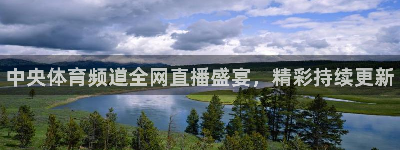 中央体育频道全网直播盛宴，精彩持续更新