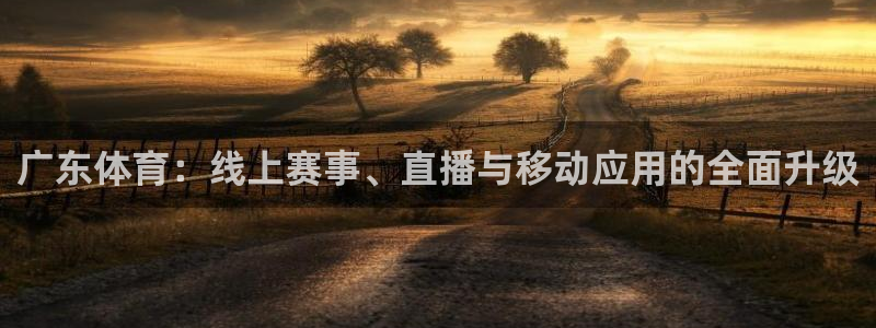 广东体育：线上赛事、直播与移动应用的全面升级