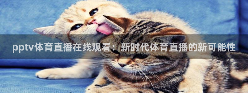 pptv体育直播在线观看：新时代体育直播的新可能性