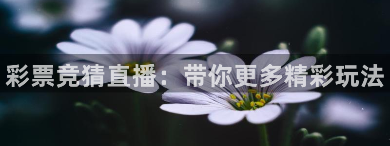 彩票竞猜直播：带你更多精彩玩法