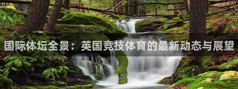 国际体坛全景：英国竞技体育的最新动态与展望