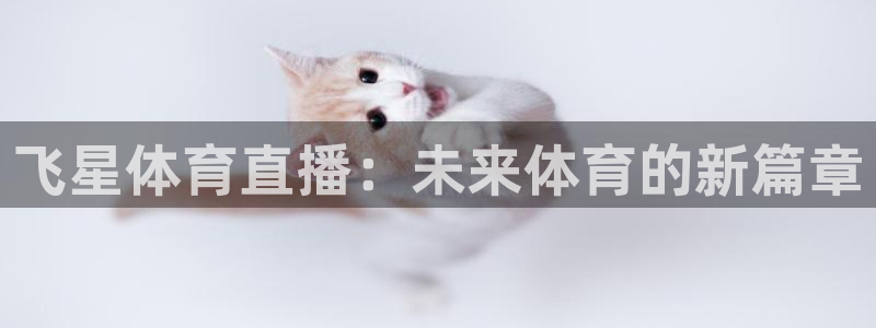 飞星体育直播：未来体育的新篇章