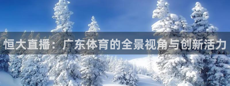 恒大直播：广东体育的全景视角与创新活力
